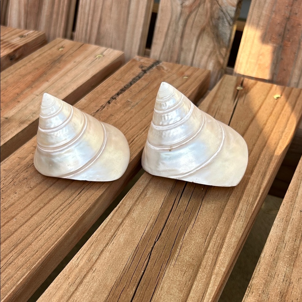 Lot‎ Of 2 Niloticus-Trochus Mother Of Pearl Seashell Beach Decor Stunning!!!